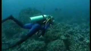 Aquawoman - Stefanie Voigt - Demo Reel - H2O Talent & Actor