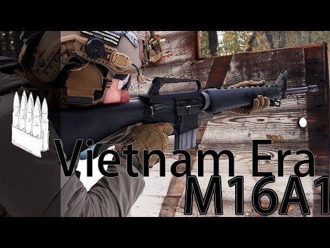 Vietnam Era M16A1 (Apex Gun Parts)