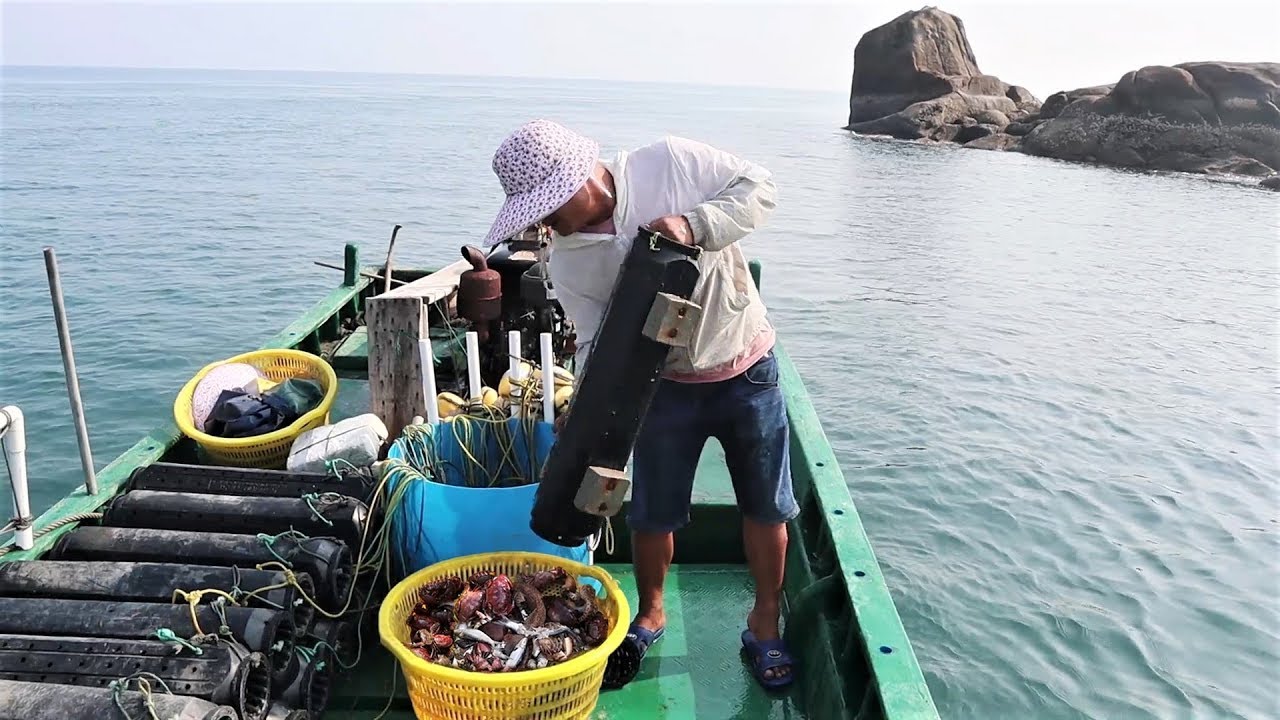 老四为了抓深海大货去收笼搞鱼饵，不料抓到猛货抓爆了，开心坏了