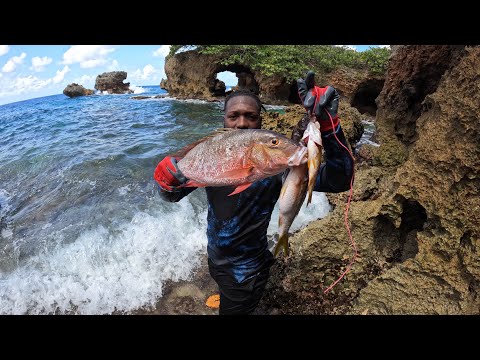 Setting Traps For Mutton Snappers / We Caught Three Different Species Catch & Cook #mustwatch #viral