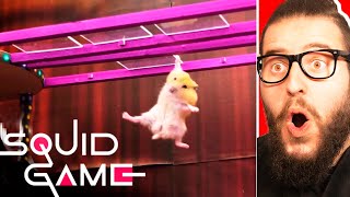 Squid Game vs Hamsterious: All Amazing Challenges