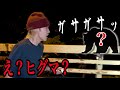 【放送事故】街灯採集してたら目の前から"巨大な獣"が....