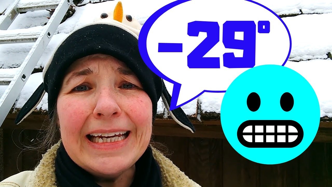 What To Do in Sub-Zero Minnesota
