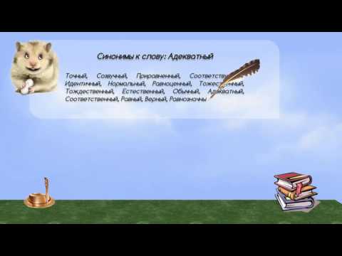 Синонимы к слову адекватный в видеословаре синонимов онлайн