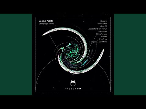 Animus (Original Mix)