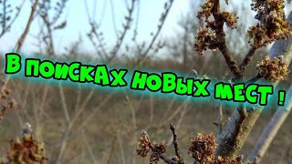 В поисках новых мест! Среди пробок находится истина!