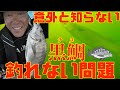 【黒鯛チヌ釣れない人必見】コレが答えです‼