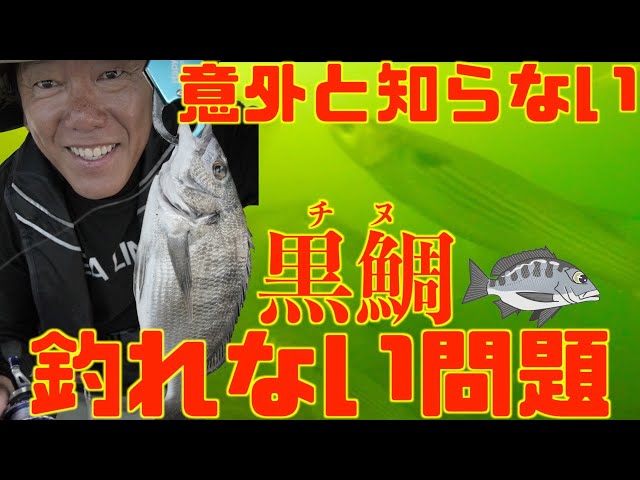黒鯛チヌ釣れない人必見】コレが答えです‼ - YouTube