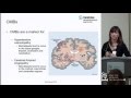 Cerebral Microbleeds, Cerebral Amyloid Angiopahthy and Their Clincial Relevance by Sheila Smith, MD