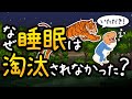 【自然界で超危険】進化過程で睡眠が淘汰されなかった理由【小学生でもわかる】