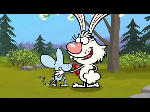 Nature Cat  Daisy Says Tally  Ho  YouTube