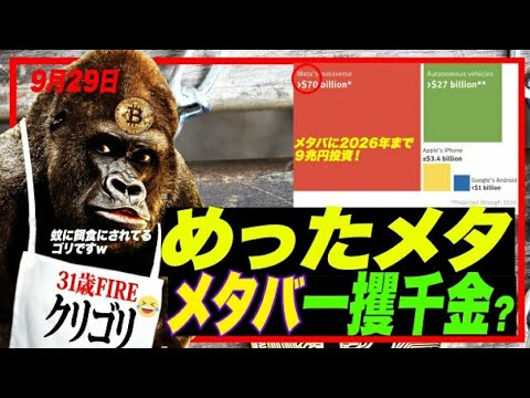 【メタバース全ツッパw】めったメタwが９兆円投資！GAFAでも抜きん出た一本釣りの意味とは、メタ株しばらく安値？