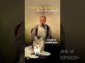 Любить может каждый! #семьявместе #profamily #саморазвитие #душа