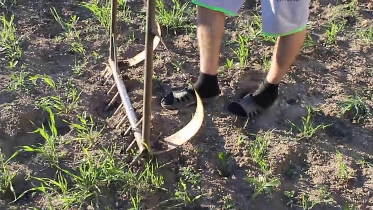 самодельный культиватор, супер лопата, рыхлитель - YouTube