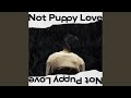 Not Puppy Love