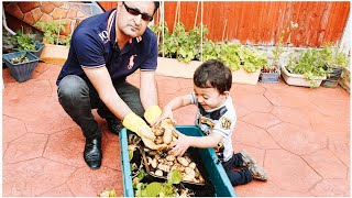 Planted potatoes in the Soil bag! Cyrus & Dad harvesting potato for the 1st time!! #potato #howto
