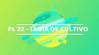 12 DIA DE CULTIVO PL22 VÍDEO 16/32