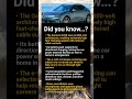Genesis GV60: advanced EV electronics and control systems you rarely hear about