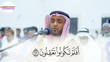 غمدان العاقل _ من سورة يس