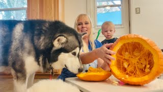 Carving A Pumpkin In The Craziest Way