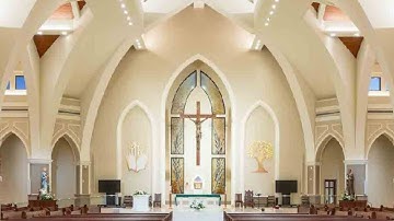 112925 Thánh Lễ Mừng Kỷ Niệm 30 Năm Thành Hôn Anh Phao lo Trần Văn Hóa &  Chị Maria Phùng Minh Hà