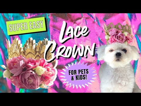 Video: Kraf DIY: Buat Crown Bunga untuk Anjing Anda