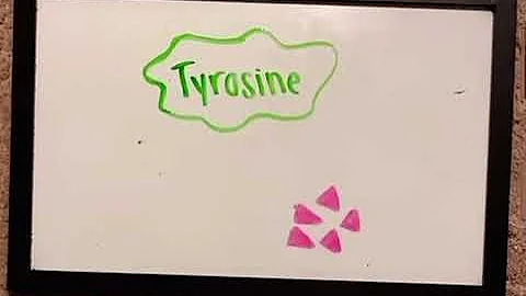 Dopamine Transduction Pathway AP BIO