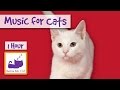 1 Hour of Music for Cats - Relax your Cats and Send them to Sleep CATS LOVE THIS MUSIC!