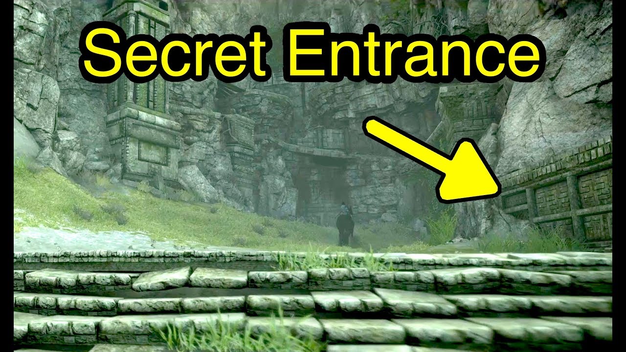 Shadow Of The Colossus Ps4 Lizard Locations