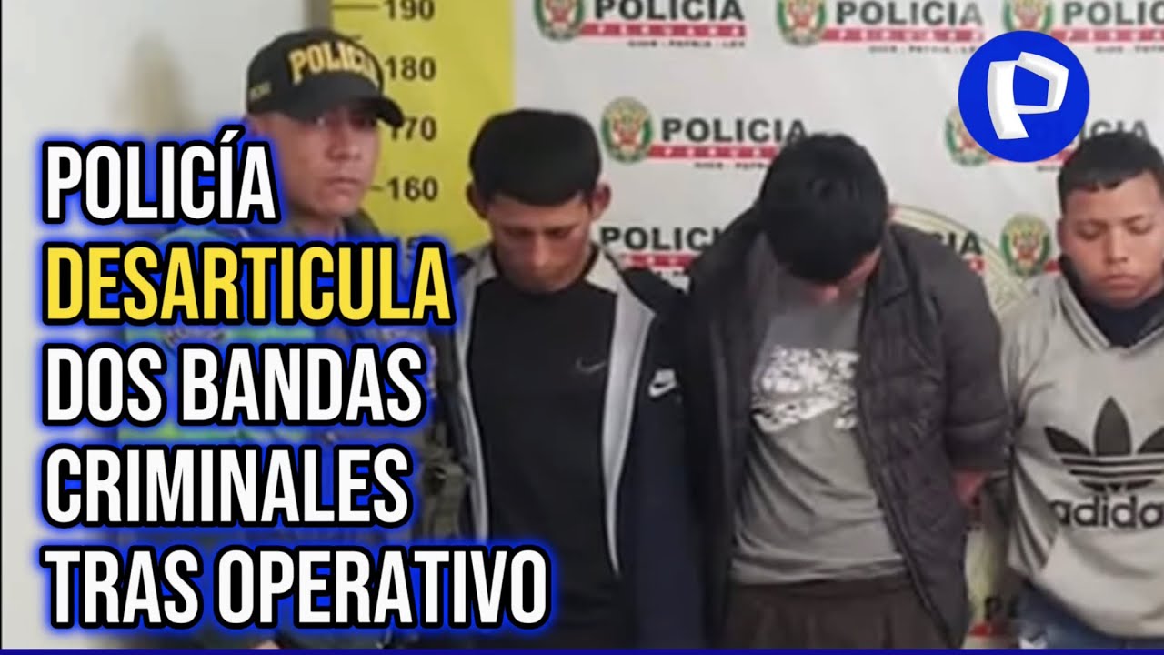 Comas: capturan a delincuentes que asaltaron tienda (1/2)