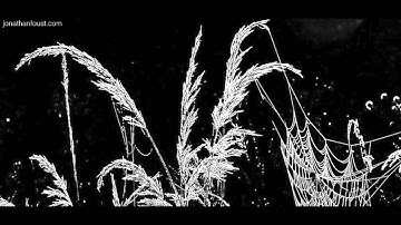 Who Are You and What is Your Path?