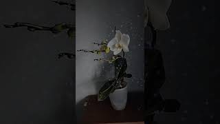 #nikopol #stoprussia  In memory of the civilians of Nikopol who died as a result of russian shelling