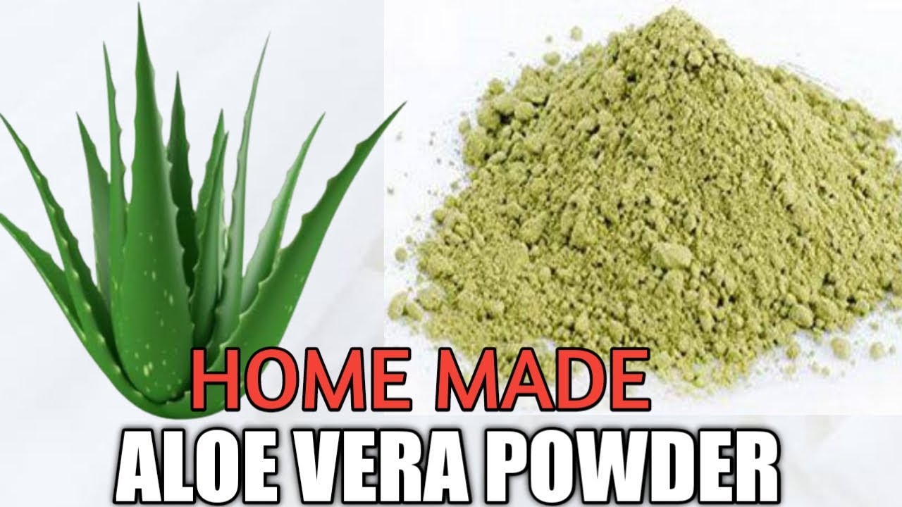 HOW TO MAKE ALOE VERA POWDER AT HOME YouTube
