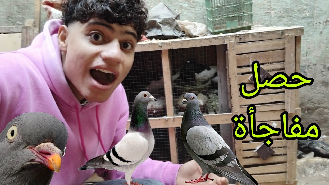 متابعه السلاكه 🤔وحصل مفاجأة كتير عند الحمام 🕊🥳ورجعنا بعد غياب شهر 🫢