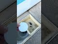 Want a crystal clear pool, you need the purest chlorine… #pool #poolmaintenance #poolcleaning