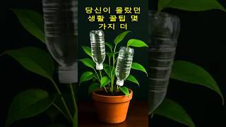 이벤트 배너