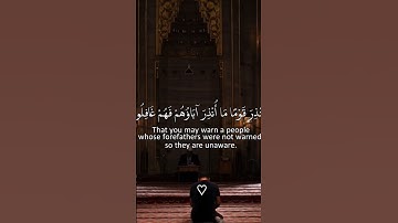 سورة يس | ماهر المعيقلي #ماهر_المعيقلي #قرآن #quran #القرآن_الكريم #سورة_يس #الله #god