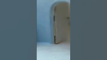 Pingu Shoot Double Revolvers From Pingu S Dad And Run Away Meme 
