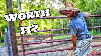 The Farm Life with Cog Hill Farm & Family 