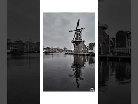 Photography walk in Haarlem / Amsterdam, Netherlands 26.03.2018 PART 2 #ThrowbackThursday #shorts