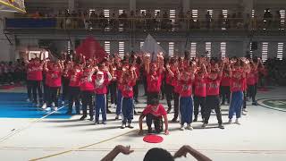 CSOL- D PALARO 2019- Red Sharks Cheerdance