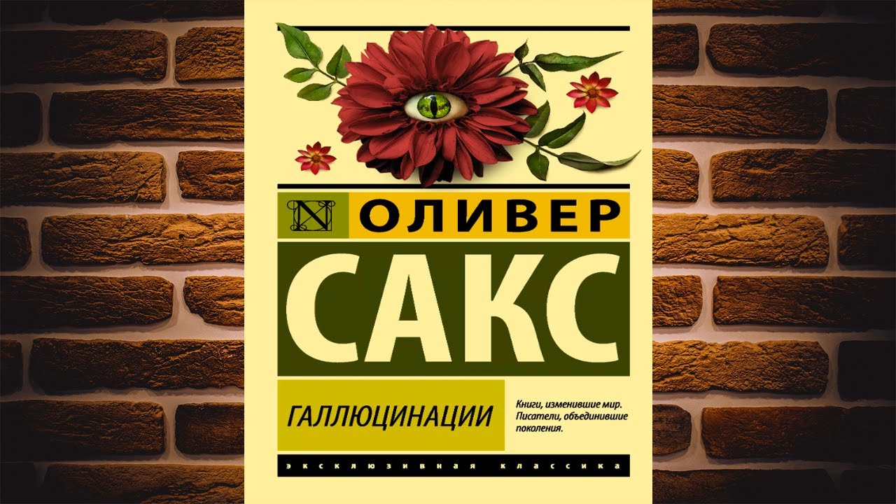Галлюцинации (Оливер Сакс) Аудиокнига - YouTube