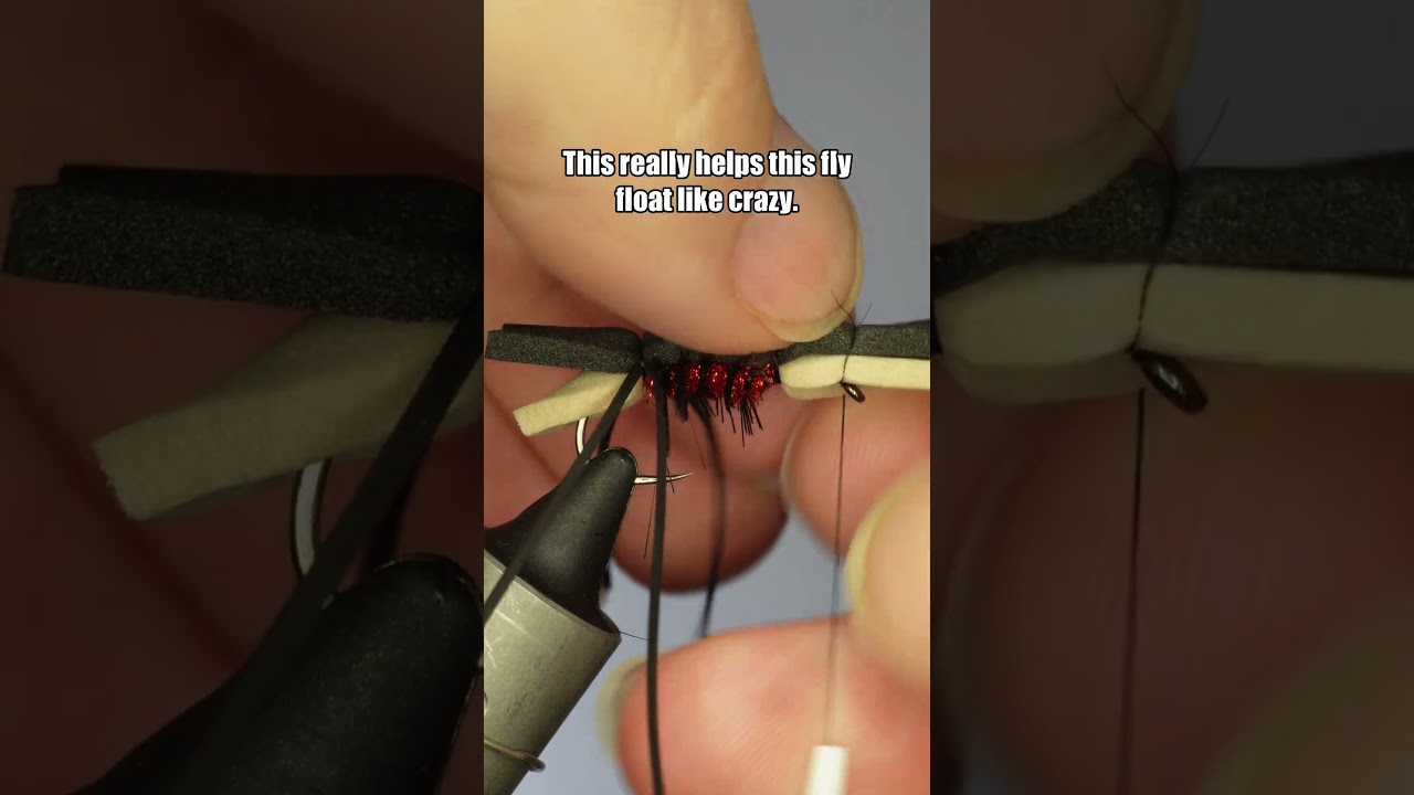 Amy's Ant | Fly Tying Tutorial