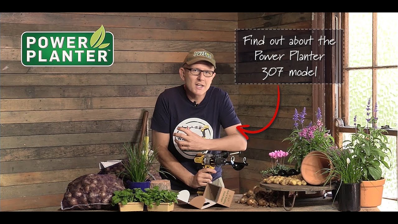 Power Planter 307 model Large Bulbs and Potted Colour Planter