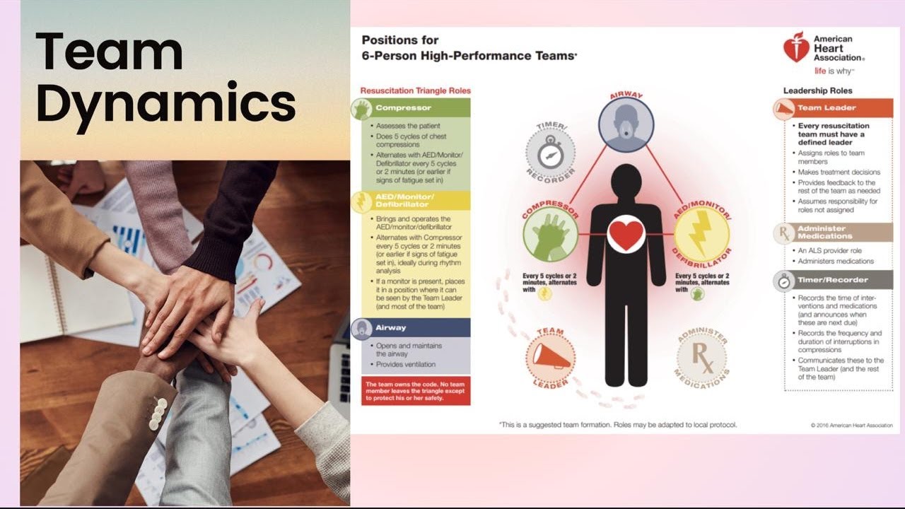 BLS certification Part 11 / Team Dynamics
