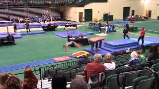 Vault Technical Sequence - 9.5