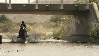 Avicii Wake Me Up Official Video Youtube Google Chrome 2023 07 04 18 24 26