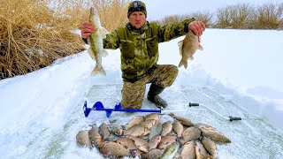 Тянут хапугу на дно или рыбалка на хапугу в Сибири Наткнулись на рыбье эльдорадо Нахреначили рыбы 