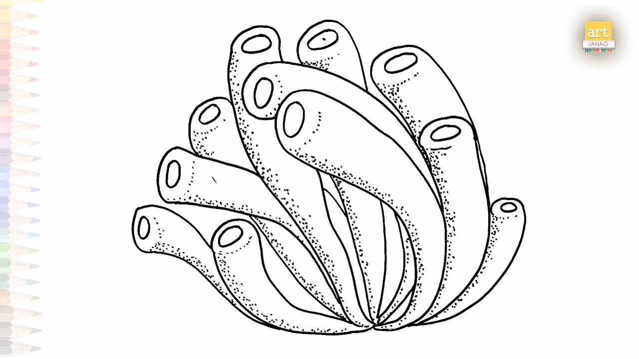 Sea coral drawings | Art tutorial | How to draw Sea coral step by step ...