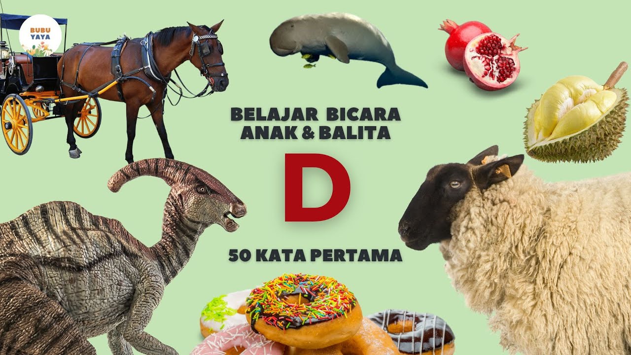 Belajar Bicara untuk Bayi dan Balita | 50 Kata Pertama Huruf D | Bahasa Indonesia Edukasi Anak